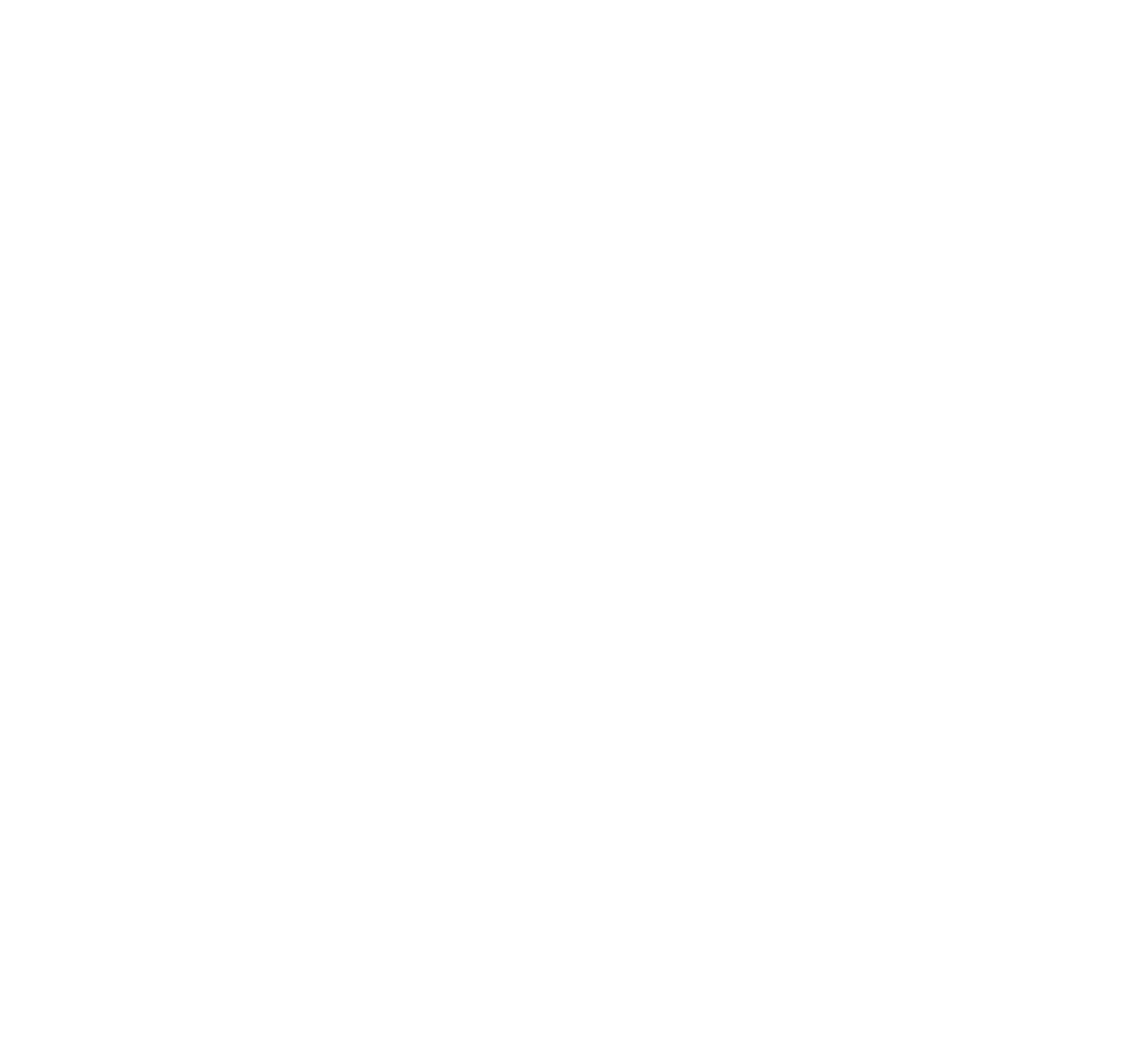 Rise Above Auto Detailing